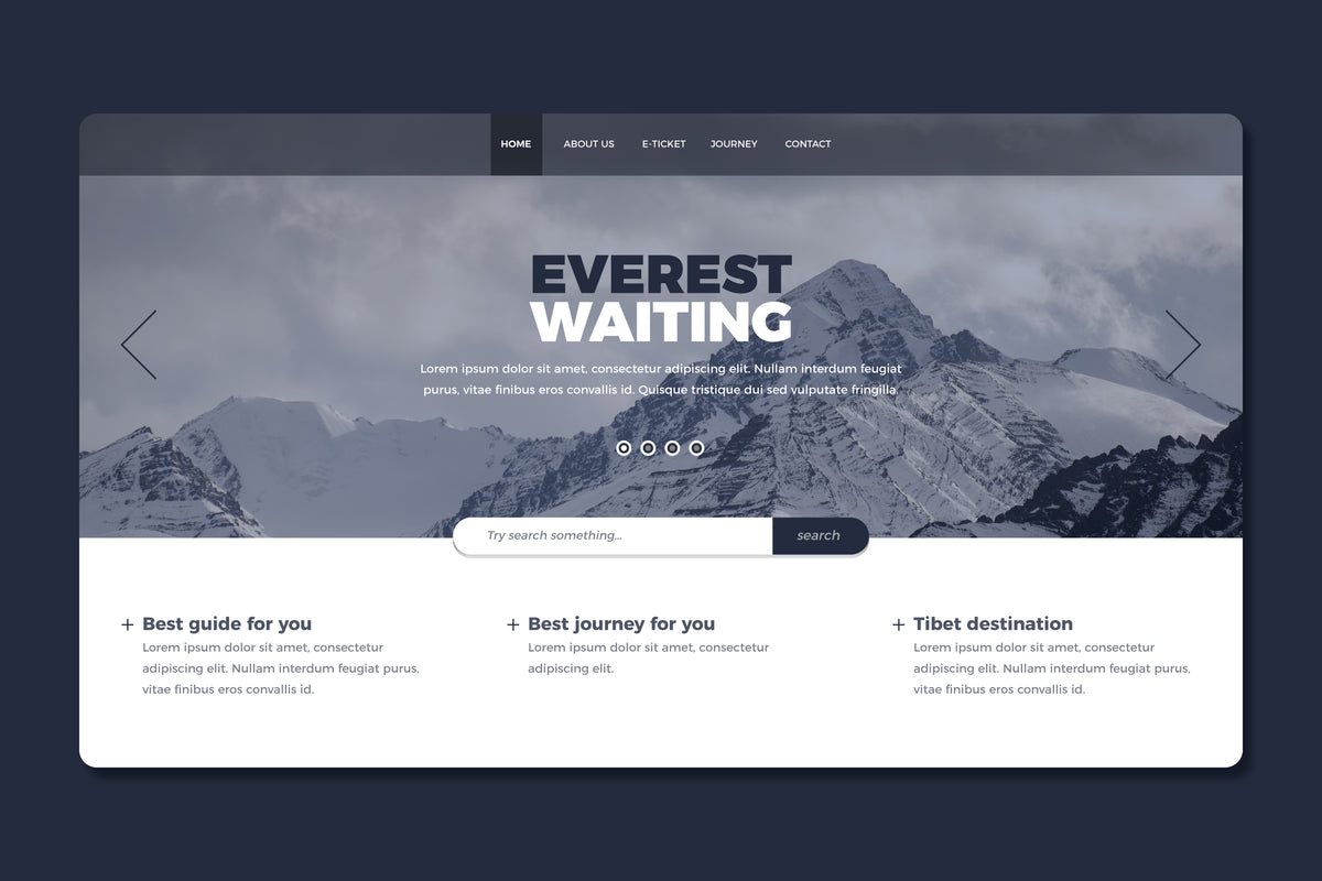 Pro Website